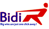 Bidirush pty ltd